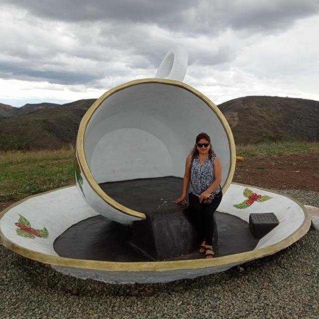 Gerente Puerto Palmeras